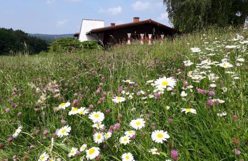 Stadtprozelten House | Ellernhof im Spessart
