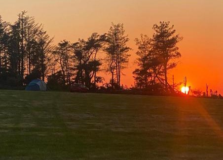Llanfaethlu House | Elm - Bell tent 2-4 person Anglesey North Wales