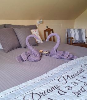 Breim Bed & Breakfast | Elvebakk Bed & Breakfast