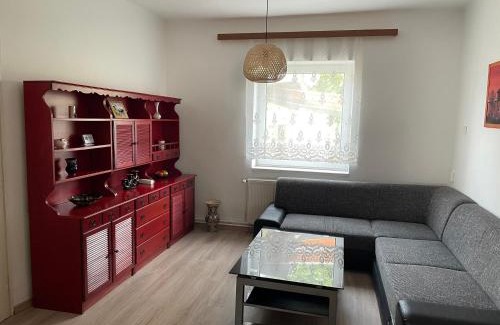 Kisbodak Apartment | Elvira Vendégház
