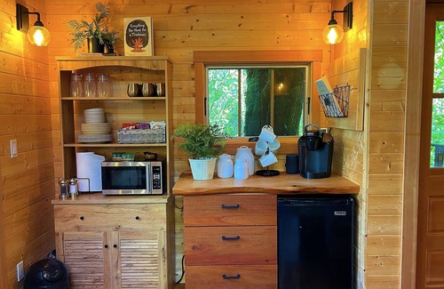Union Hill-Novelty Hill Apartment | Emerald Forest Treehouse - From Treehouse Masters