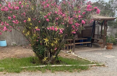 Coquimbo House | Encantadora Casa Para 12 con Piscina y Amplio Patio