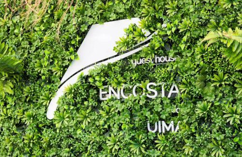 Caldas de Sao Jorge Apartment | Encosta do Uíma - Guest House