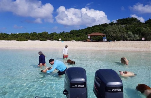 Tar Bay Apartment | Endless Possibilities Great Exuma