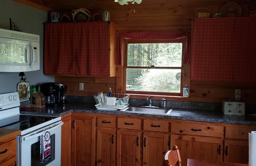 Farmersville Station Cabin | Enjoy the outdoors in this cozy Log Home on top of hill