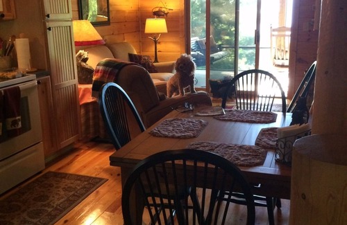 Screamer Mountain Cabin | Entire cabin for rent, 30-day minimum stay.