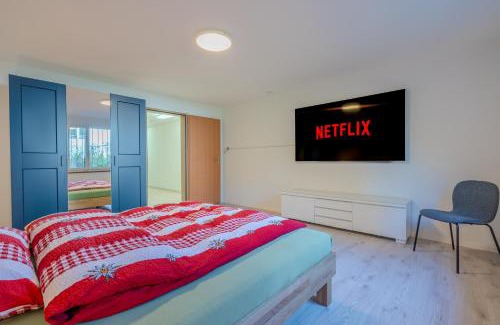 Neerach Villa | Entire House, Terrace, Garden, BBQ, 3 TVs - Zurich Region