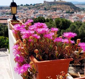 Selcuk House | Ephesus Hillside