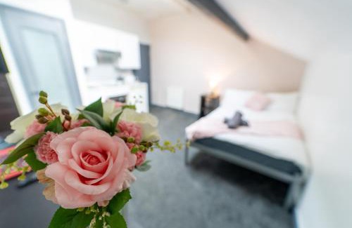 Selly Oak Apartment | Equipped Compact Studios next to UOB and QE Hospital!