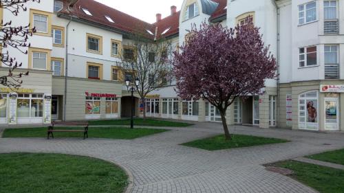 Sarospatak Apartment | Erdélyi vendégház