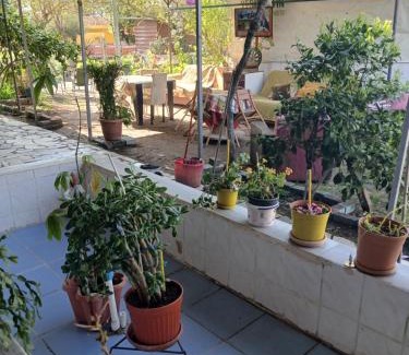 Erdek Apartment | Erdek Özlem Pansiyon
