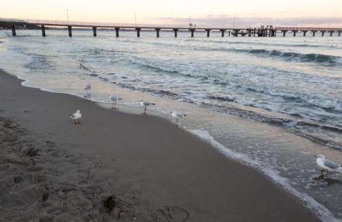 Steindamm Apartment | Erdgeschoss-Appartement mit Seeblick