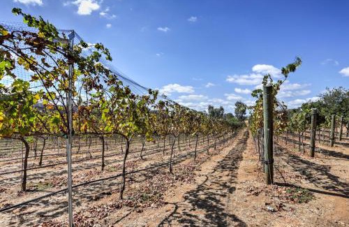 Escondido House | Escondido Vineyard Estate Walk to Wineries!