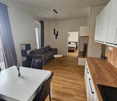 Trencin Apartment | Euromiko apartment