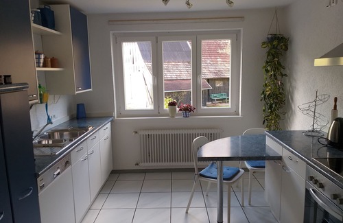 Freiamt Apartment | * Europapark region, quiet idyllic location, * Bogenparcours close
