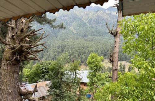 Pahalgam House | Eurostay