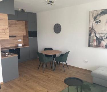 Pusztavacs Apartment | Evergreen Apartment Szeged