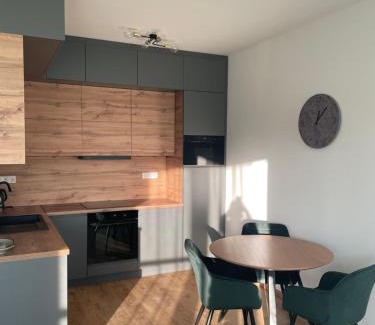 Pusztavacs Apartment | Evergreen Apartment Szeged