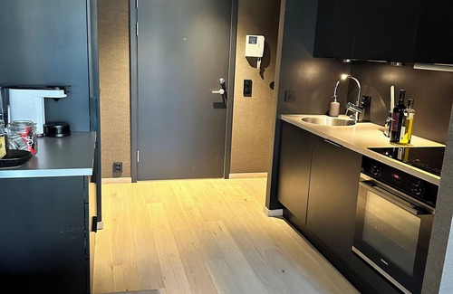 Tjuvholmen Apartment | Exclusive Apartment at Tjuvjolmen, Luxury in the heart of Oslo