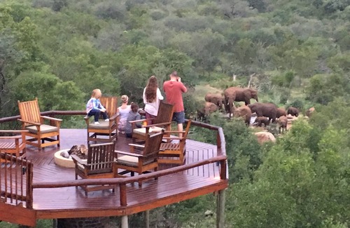Hoedspruit Villa | Exclusive Bush Villa Inside the Greater Kruger National Park, home of the Big 5