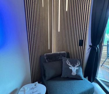 Steibis Apartment | Exklusive FeWo AllgäuStern Steibis mit WLAN Sauna Kamin und Oberstaufen PLUS Card