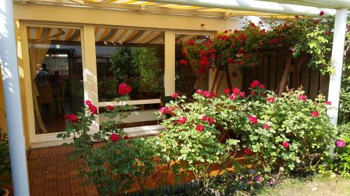 Vahrenheide House | Exklusives Haus mit Garten