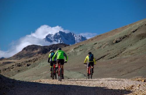 Cochrane Cabin | Explora en Parque Nacional Patagonia