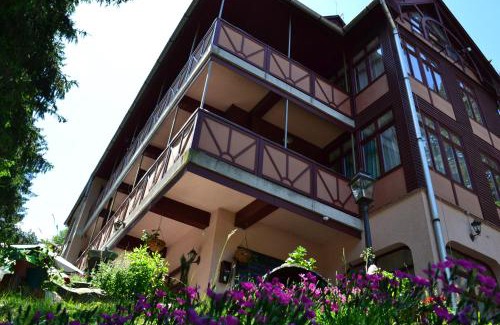 Telkibanya Hotel | Ezüstfenyő Hotel