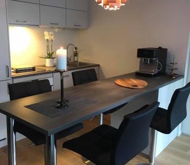 Forde Apartment | Førde