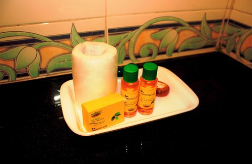 Dariyaganj Hotel | Fabhotel Rivlet Premium