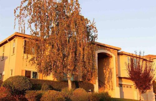 Folsom Villa | Fabulous Grand Home Pool~Jacuzzi Central Walkable
