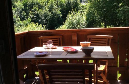 Les Houches Apartment | Facing the Chamonix Needles
