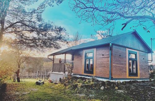 Lukacshaza Ski Chalet | Faház a kilátónál Woodhouse Lux near Kőszeg 6km Szombathely 10km Bük 20km