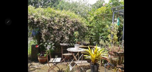 Haslemere Bed & Breakfast | Fairhaven Bed & Breakfast
