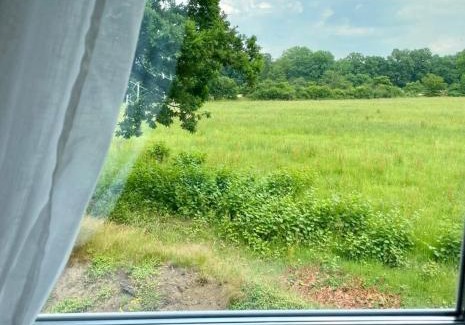 Bergstedt Apartment | Familienfreundlichen Apartment mit traumhaft grüner Aussicht