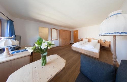 Tavanasa Hotel | Familienhotel Alpina