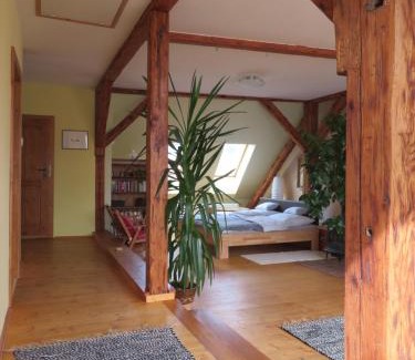 Pisek Apartment | Family Apartment Písek City Centre