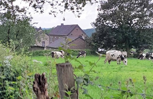Pepinster House | Family country house in one of Wallonia's most beautiful villages