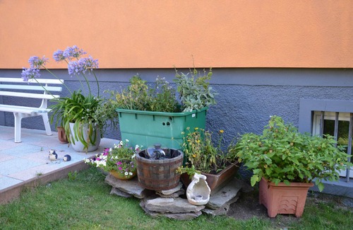 Oberweibach/Thur. Wald Apartment | Family-friendly vacation apartment 35 sqm living space for 1-2 persons