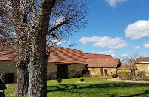Vindecy House | Family home with many dépendances on 8000 m² of closed garden/14 people
