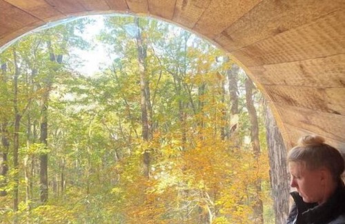 Wildwood Cabin | Family & Pet Friendly Treehouse with Amazing Views