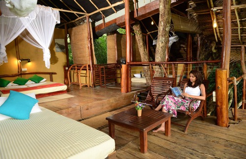Dambulla Cabin | Family Tree House in the Jungle Close to Sigiriya