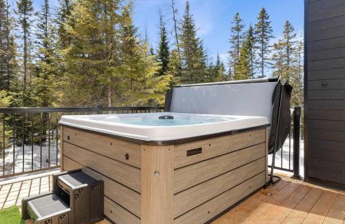 Shannon Ski Chalet | Famylia Spa Billard Foyer Dart Babyfoot