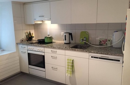 Meilen District Apartment | Fantastic apartment with lake view in Stäfa near Zurich