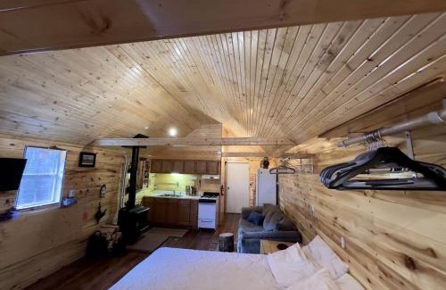 Conejos County House | Fantastic Mountain Retreat: Charming Cabin in La Jara, Colorado, near Pagosa Springs
