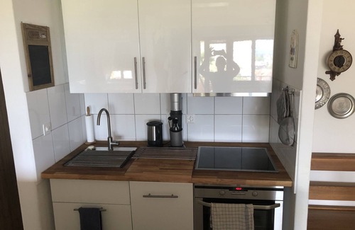 Gams Apartment | Fantastic mountain view, hillside location