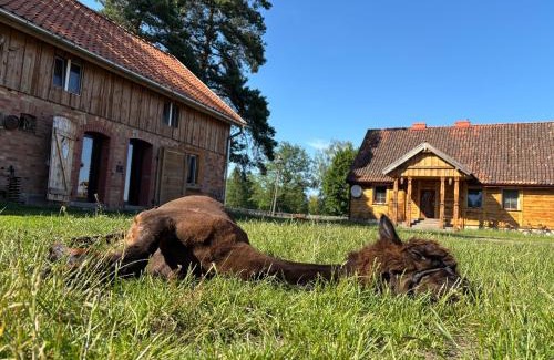 gmina Janowo House | Farma Puchałowo