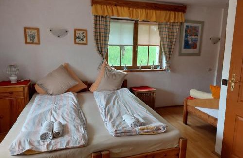 gmina Łososina Dolna House | Farma Zdrowia