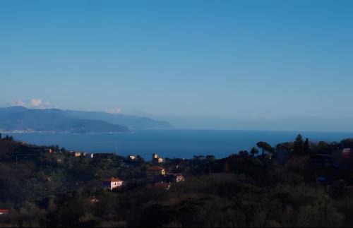 Ruta House | Fattorialmare Rossa