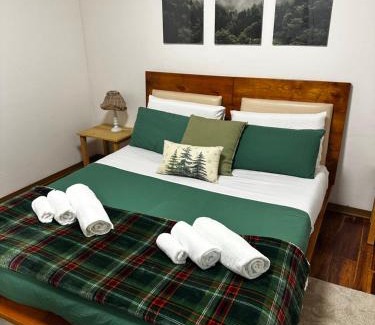 Branzi Apartment | Favoloso alloggio a Branzi